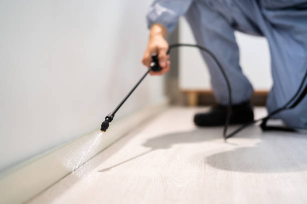 Licensed Cockroach Control service in St. Augustine Shores, FL - Nex Pest Control