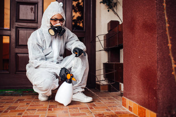 Reliable Cockroach Control contractor in St. Augustine Shores, FL by Nex Pest Control