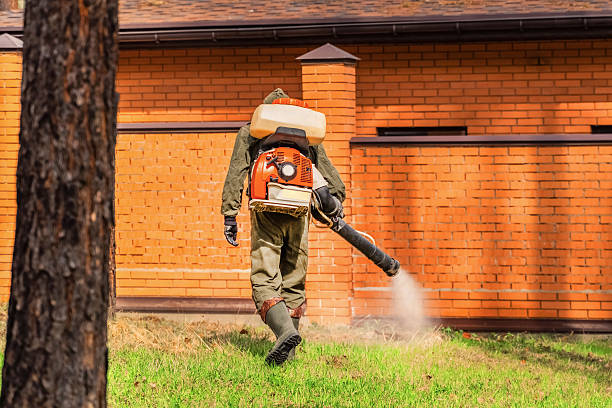 Trusted Mosquito Control service in St. Augustine Shores, FL - Nex Pest Control